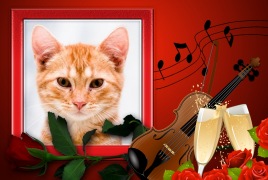 Moldura - Amor Com Violino E Tacas