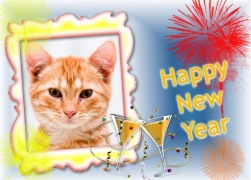 Moldura - Happy New Year
