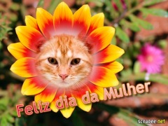 Moldura - Dia Da Mulher Na Flor