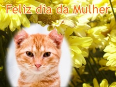 Moldura - Dia Da Mulher