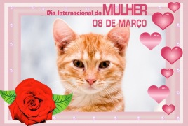 Moldura - 08 De Marco Dia Da Mulher