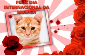 Moldura - Feliz Dia Internacional Da Mulher