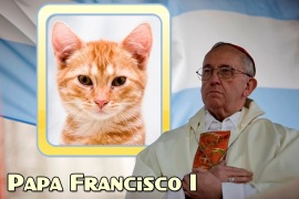 Moldura - Papa Argentino Francisco I