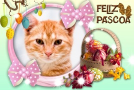 Moldura - Feliz Pascoa Com Chocolates