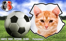 Moldura - Santa Cruz Futebol Clube Pernambuco