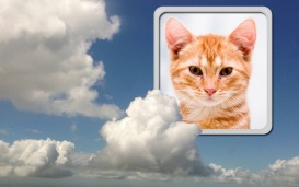 Moldura - Sobre As Nuvens