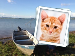 Moldura - Barco Em Carlopolis Pr