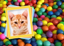 Moldura - Piscina De Bolinha