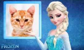 Moldura - Elsa   Frozen