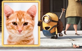 Moldura - Moldura Dos Minions