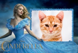 Moldura - Cinderella 2015