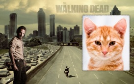Moldura - The Walking Dead