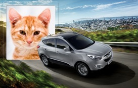 Moldura - Hyundai Ix35