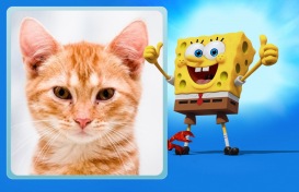 Moldura - Bob Eponja O Filme