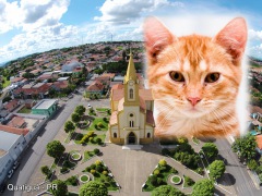 Moldura - Igreja Matriz De Quatigua Pr