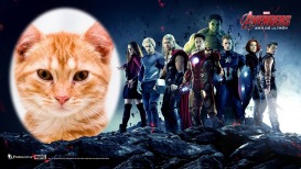 Moldura - Vingadores A Era De Ultron