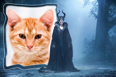 Moldura - Agelina Jolie Como Malevola