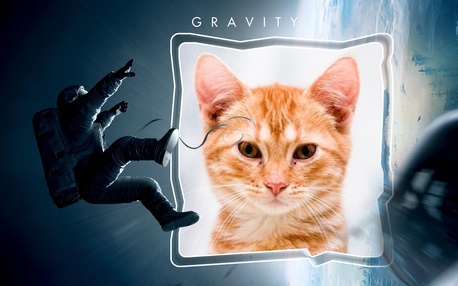 Moldura - Filme Gravidade