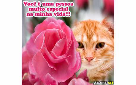 Moldura  voce e especial. Adicione uma foto!