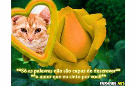 Moldura  de Amor com rosa amarela