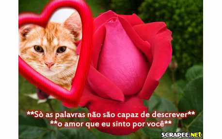 Linda Moldura com Frase de Amor