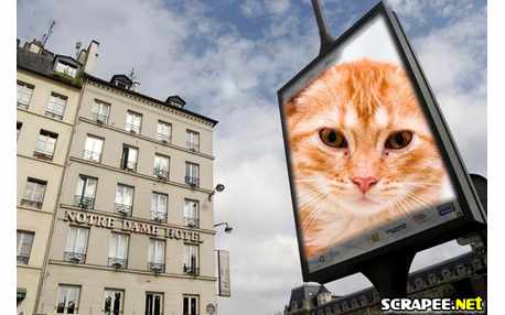 Montagem com foto no outdoor