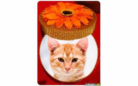 Montagem com foto na caixa