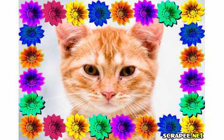 Borda com flores coloridas