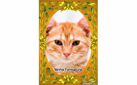 Moldura - Moldura Para Formatura