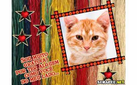 Moldura - Estrelinhas