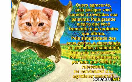 Moldura - Estrada Florida