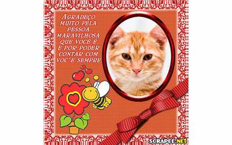 Moldura - Abelha E Laco