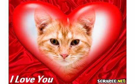 Moldura - Coracao Transparente