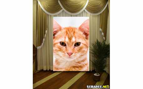 Moldura - Cortina Da Sala