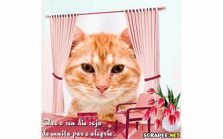 Moldura - Sala Com Arranjo