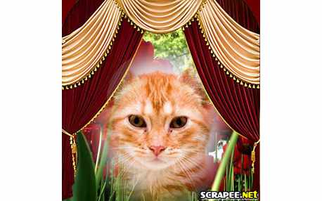 Moldura - Vista Para O Jardim