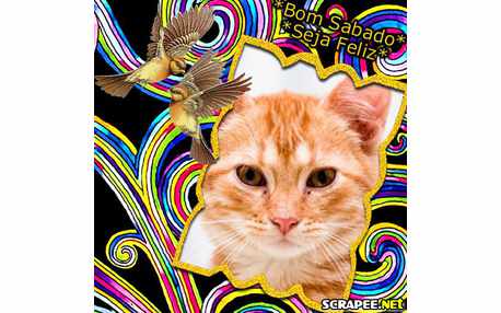 Moldura - Passaros No Abstrato