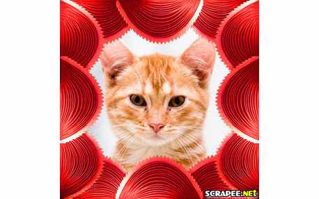 Moldura - Borda Sonfonada Vermelha