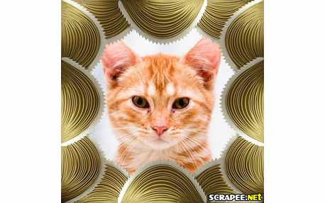 Moldura - Moldura Sonfonada