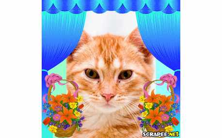 Moldura - Entrada Enfeitada