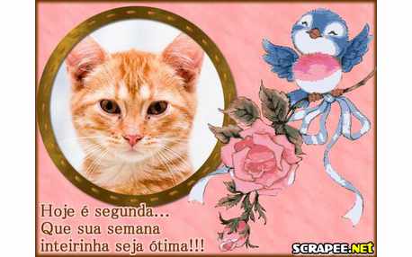 Moldura - Segunda Feira