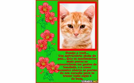 Moldura - Ramo De Flor