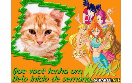 Moldura - Winx Semana