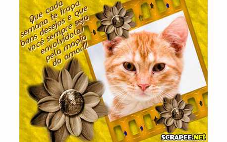 Moldura - Flor Envelhecida