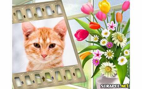 Moldura - Vaso Na Janela