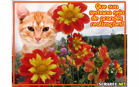 Moldura - Flor Mesclada