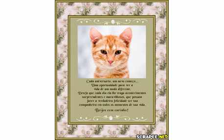 Moldura - Aniversario Neutro