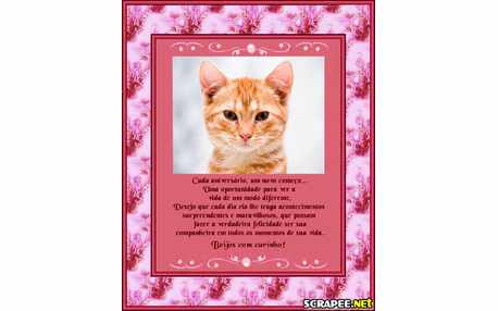 Moldura - Aniversario Menina