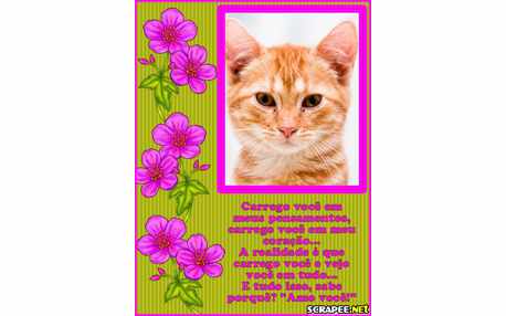 Moldura - Romo De Florzinha