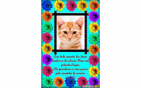 Moldura - Flores Coloridas